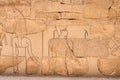 Ancient hieroglyphs and relief engravings carved into a stone wall at Luxor Temple of Amun-Ra Royalty Free Stock Photo