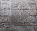 Ancient hieroglyphs at the temple of Karnak. Egypt