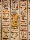 Ancient Hieroglyphs from the Valley of the Kings in Thebes Luxor Egypt
