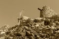 Ancient, historic, famous, dilapidated stone windmills on a sunny day Lassithi area, island Crete, Greece Royalty Free Stock Photo