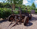 Ancient Horse Drawn Cart For Transporting Sugar Cane To The Mill