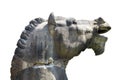 Ancient horse head at Michelangelo`s cloister