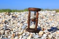 Ancient hourglass on shells Royalty Free Stock Photo