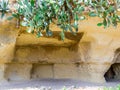 Ancient houses carved in the rock in Ginosa, Italy Royalty Free Stock Photo