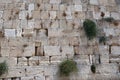 The ancient huge stones of the western wall in jerusalem also called kotel maaravi Royalty Free Stock Photo