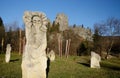 Ancient idols near ruins of Tustan - rock fortress,Ukraine