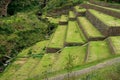 Ancient Inca agricultural terraces ruins at Pisac Archaeological Site in the Sacred Valley, Peru