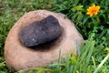 Ancient Indian Metate in Garden Setting