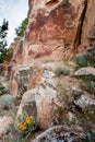 Ancient Indian Petroglyph Royalty Free Stock Photo