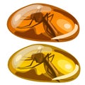 Ancient insect fly frozen in amber, rare stone Royalty Free Stock Photo