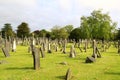 Ancient Irish Cemetery