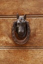 Ancient italian horse shaped door knocker on wooden brown door Royalty Free Stock Photo