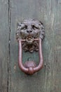 Ancient italian lion shaped door knocker Royalty Free Stock Photo