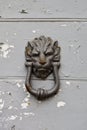 Ancient italian lion shaped door knocker on wooden grey door Royalty Free Stock Photo