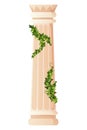 Ancient ivy covered column. Museum and exhibition. Cartoon greek or roman pillar with climbing ivy branches. Antique