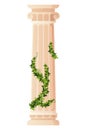 Ancient ivy covered column. Museum and exhibition. Cartoon greek or roman pillar with climbing ivy branches. Antique
