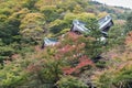 Japanese building in the autumn forest