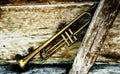 An ancient Jazz trumpet on an old farm