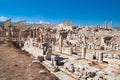 Ancient Jerash ruins, Jordan