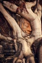 Ancient Khmer stone face sculpture hidden under overgrown roots at a temple in Siem Reap, Cambodia. Royalty Free Stock Photo