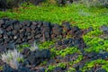 Ancient Lava Rock Wall On The Ala Kahakai Trail Royalty Free Stock Photo