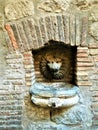 Ancient lion grotesque mask and fountain, medieval wall Royalty Free Stock Photo
