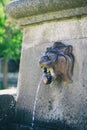 Ancient lion head water fountain