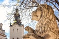 An ancient Lions' statue in front of Town Hall on the Market (Rynok) Square in Lviv, Ukrain.