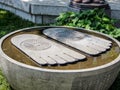 Ancient Lord Buddha footprint sculpture