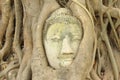 Ancient Lord Buddha Statue Royalty Free Stock Photo