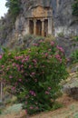 Ancient Lycian Rock tombs in Fethiye, Turkey Royalty Free Stock Photo