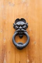 Ancient male head knocker on old wood door Royalty Free Stock Photo