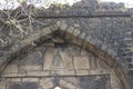 Ancient Malwa and Delhi Sultanate Era Entrance Gate in the Forest