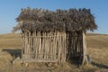 Ancient man. straw roof hut, bungalow. Royalty Free Stock Photo
