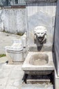 Ancient marble spring in the form of a lion\'s head close-up