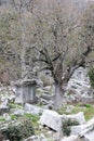 Ancient marble statue pedestal among the ruins of abandoned city Termessos in Turkey mountains