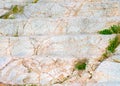 ancient marble steps with grass breaking through the stones, background Royalty Free Stock Photo