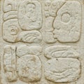 Ancient Maya script carved on the stone wall Royalty Free Stock Photo