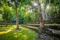 Ancient Mayan pyramids Archaeological Zone Balamku in the middle of the jungle Royalty Free Stock Photo