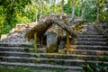 Ancient mayan pyramids Nohoch Mul in Coba