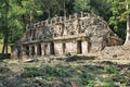 Ancient Mayan stone ruins at Yaxchilan, Chiapas, Mexico Royalty Free Stock Photo