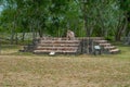 Ancient Mayan statue on its altar, representing a jaguar with two heads Royalty Free Stock Photo