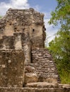 Ancient Mayan stone ruins at Calakmul, Mexico Royalty Free Stock Photo