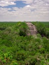 Ancient Mayan stone structure rising out of the jungle canopy at Calakmul, Mexico Royalty Free Stock Photo