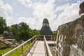 Tikal, Guatemala, Central America