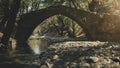 Ancient medieval bridge water pond in green forest park in Europe. River flow near stone grovel coast