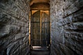 Ancient medieval wooden door with iron parts