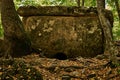 Ancient megalith dolmen among trees in an autumn grove