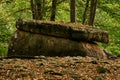 Ancient megalith dolmen among trees in an autumn grove