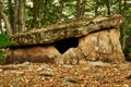 Ancient megalith dolmen among trees in an autumn grove